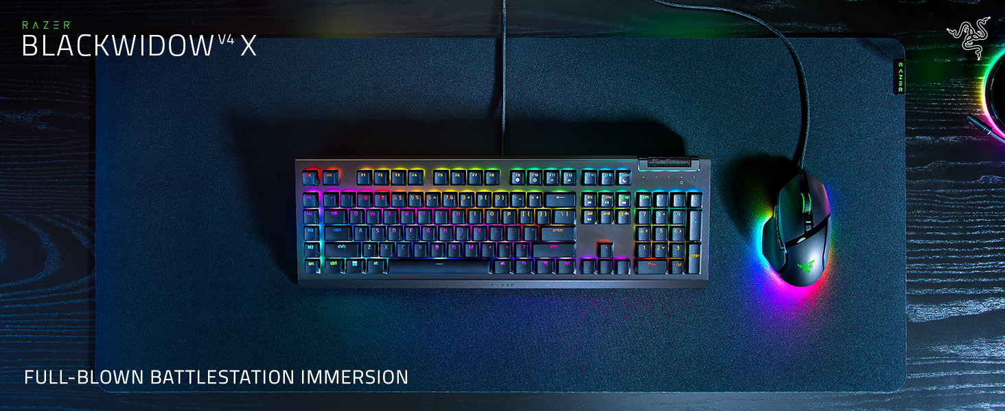 BlackWidow V4