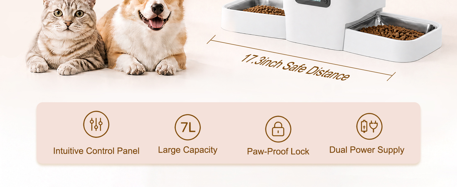 cat feeder automatic