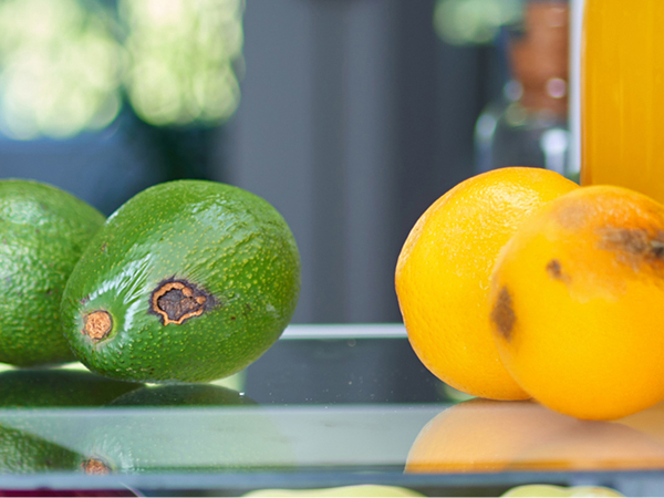 Reduce funky smells in cabinets, closets, and the fridge.