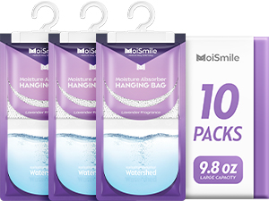 bathroom dehumidifier