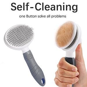 cat brush