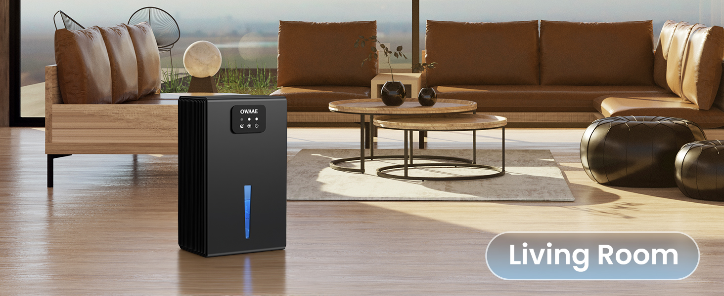 dehumidifiers for home