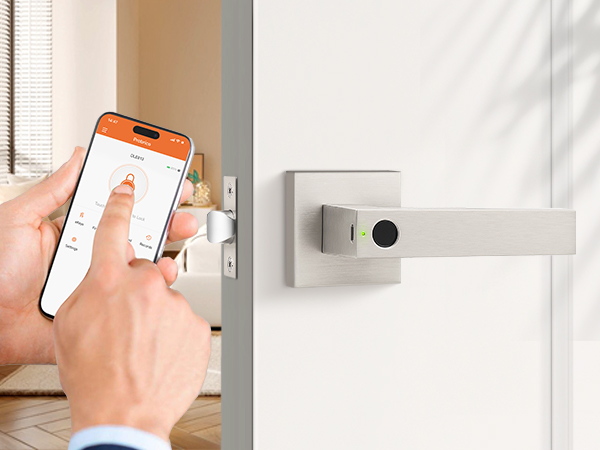 smart nickel door lever