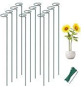 Joyhalo 12 Pack Plant Support Stakes 36 Inches, Plant Stakes, Flower Stakes with 24 Twist Ties, G...