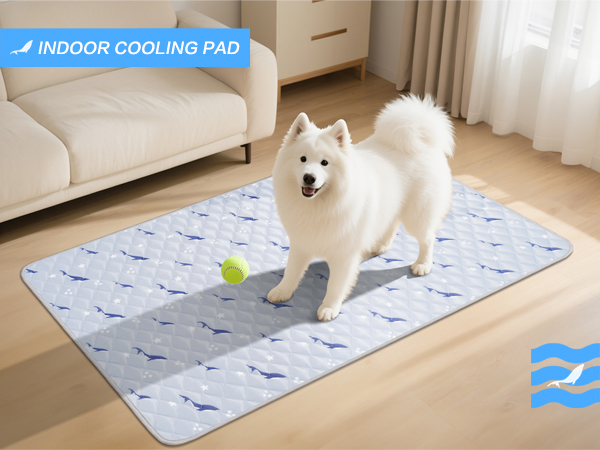 cooling bed for dogs