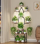 plant stand with grow lights
