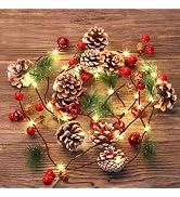 TW SHINE 2 Pack Christmas Pine Cone String Lights, 13 FT 40 LED Total Prelit Battery Operated Gar...