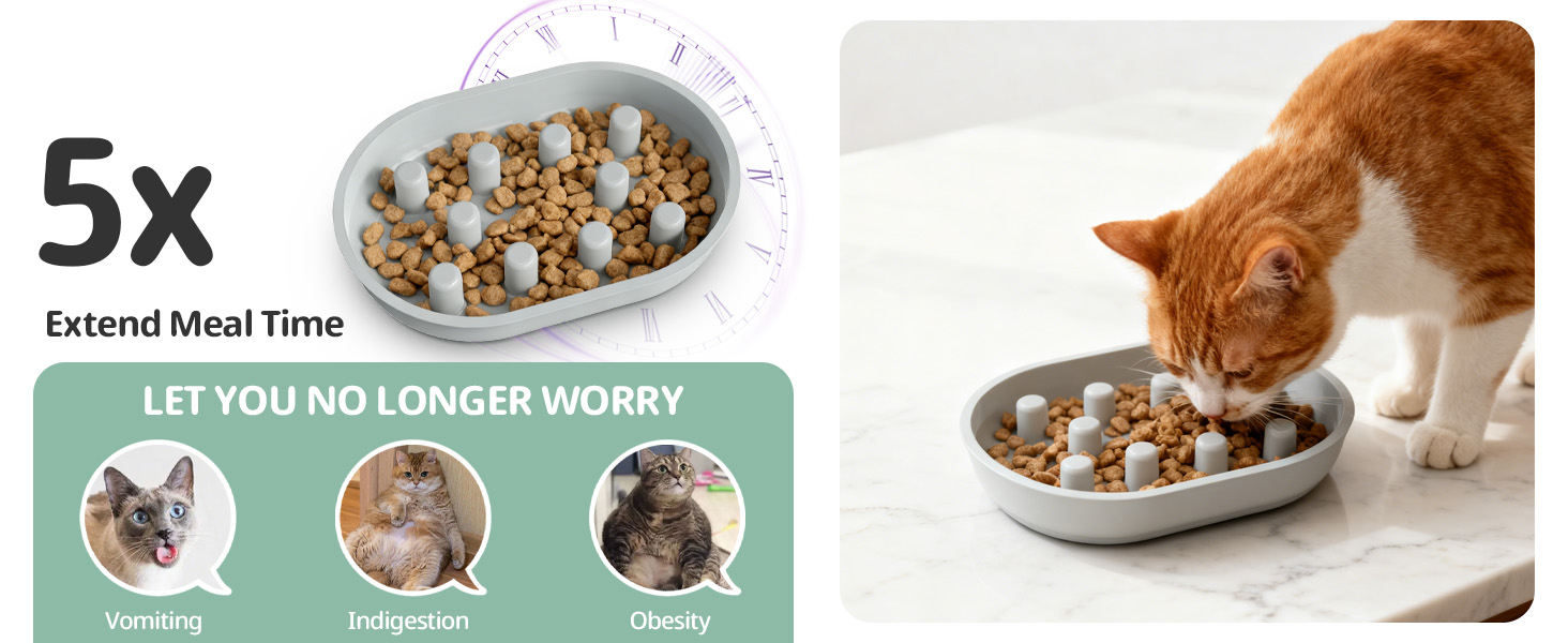 Microchip Pet Feeder Slow Bowl and Mat Set