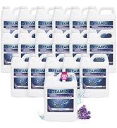 Steam & Go Demineralized Water for Steam Cleaner, PVC-Free Floor Cleaner Liquid Compatible With A...