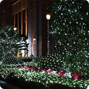 solar string lights