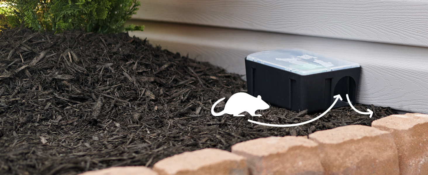 Showing rodents entering the bait station.