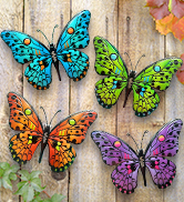 butterfly wall decoration