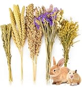 Sukh Natural Hamster Bedding Sprays - Foraging Habitat Decor Cage Accessories, Hideout Enrichment...