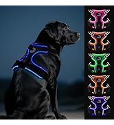 Joytale Light Up Dog Harness, No Pull Dog Harness USB Rechargeable for Night Walking with 3 Light...