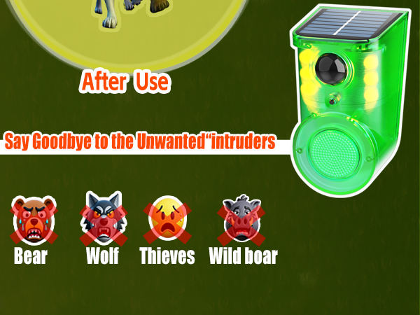 motion detector alarm