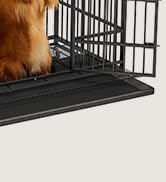 dog crate