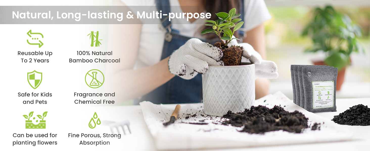 reusable 100% natural bambbo charcoal