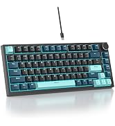 Mosptnspg 75% TKL Wired Mechanical Keyboard,RGB Backlit Gasket Mount 82 Key Hot Swappable Custom ...