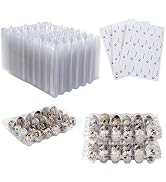 Laojbaba 60 Packs Quail Egg Cartons 24 Grid Clear Quail Egg Containers Mini Egg Dispenser Holder ...