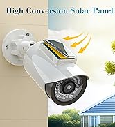 fake security cameras