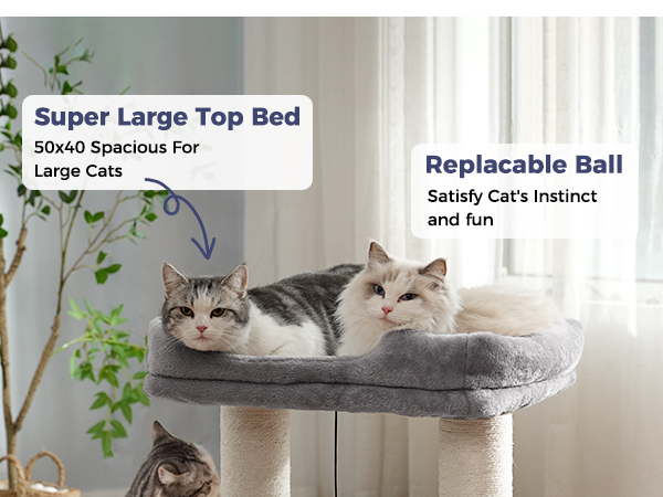 cat tree