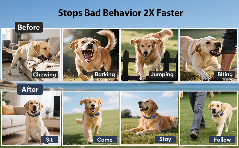 training collars for large dogs