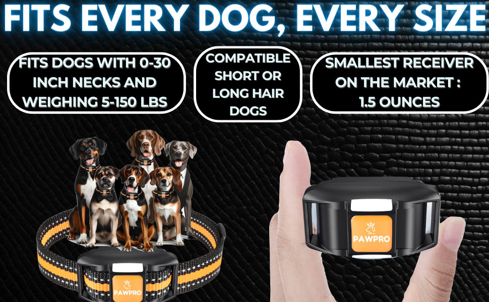 dog shock collar