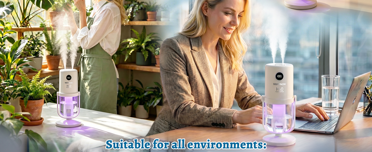 Dual Mist Portable Humidifier