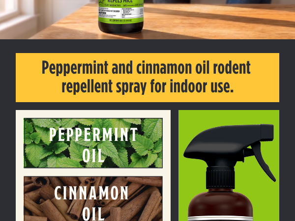 Plant-based rodent repellent spray for vehicle protection