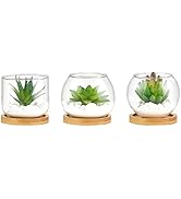 Mkono Artificial Succulent in Clear Glass Pot, Set of 3 Mini Potted Fake Plants for Women Office ...