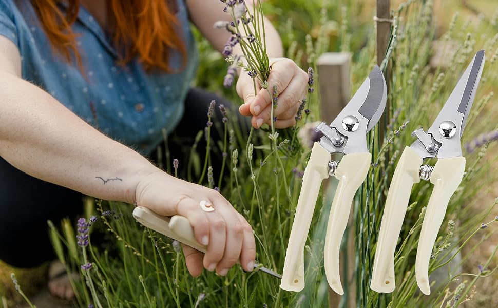 pruning shears