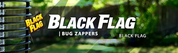 Black Flag banner