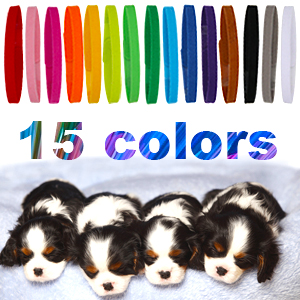 Color recognition collar