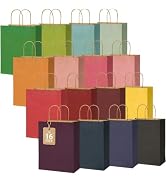 BLEWINDZ 16Pcs Colored Kraft Paper Gift Bags with Handles, 16 Assorted Colors 10.6"×8.2"×4.3" Med...