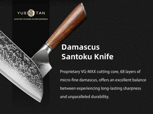 Damascus kitchen knife
