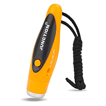 Electric Whistle