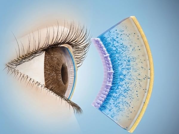 Diagram of eyes formation of tear film