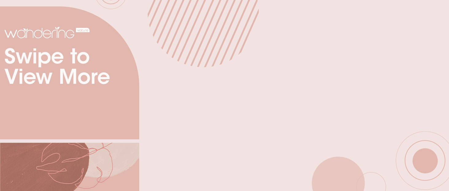 Swipe to View More