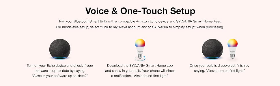 Voice Set Up Instructions