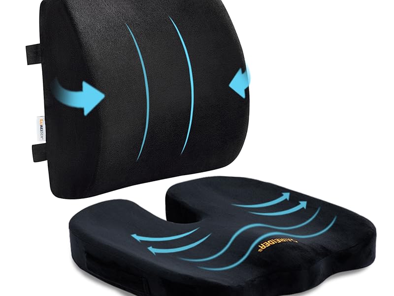 Seat Cushion and Lumbar Support Pillow
