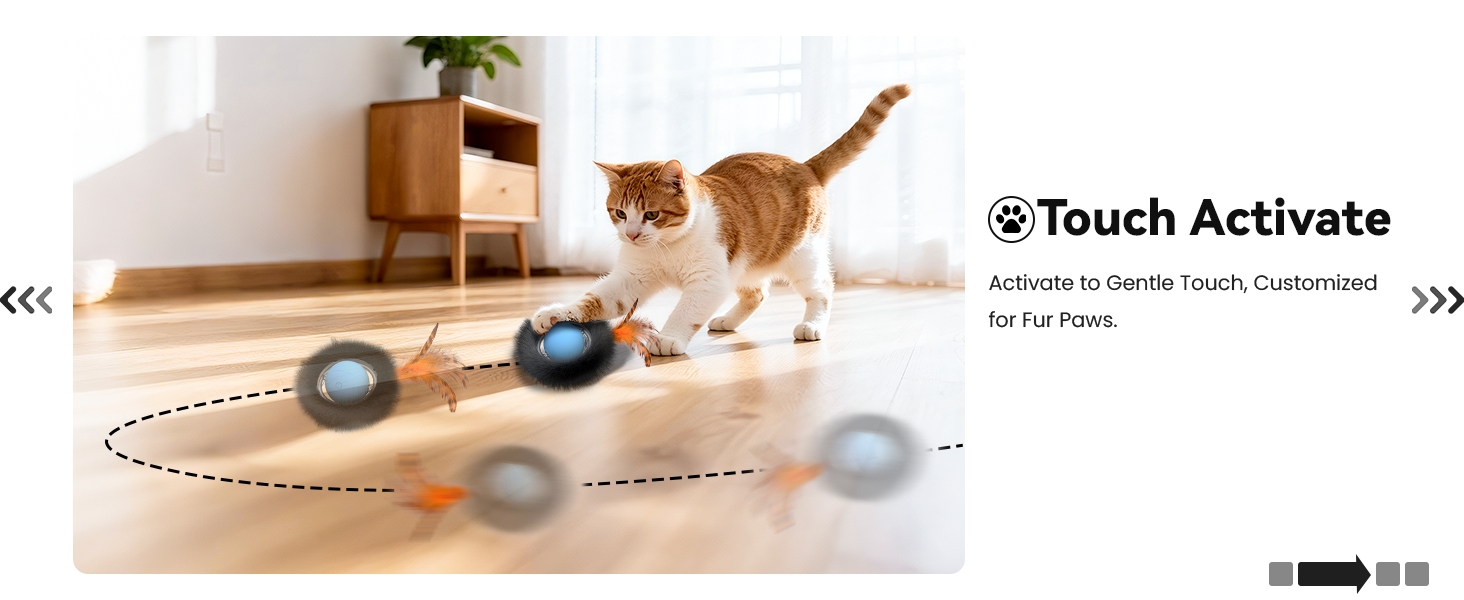 cat toys