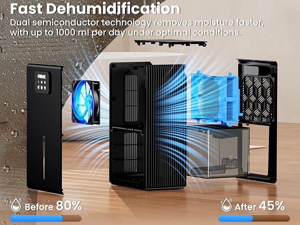 powerful dehumidication