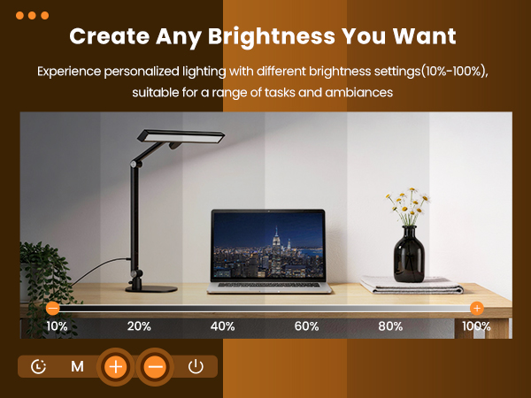 Brightness Settings