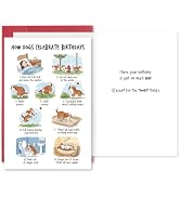 hvdler Funny Dog Birthday Card, Humorous Birthday Card for Dog Lover | Doggy Themed, Pet Owner Bd...