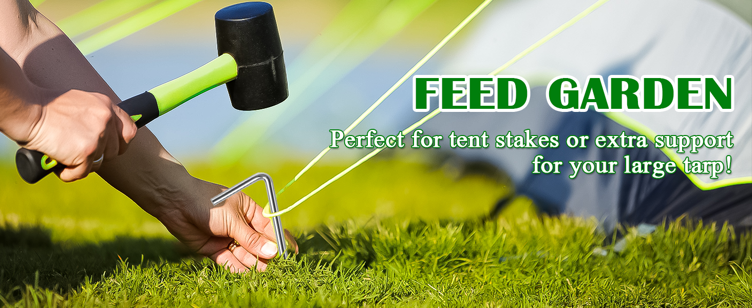 tent stakes