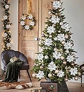Silver Poinsettia