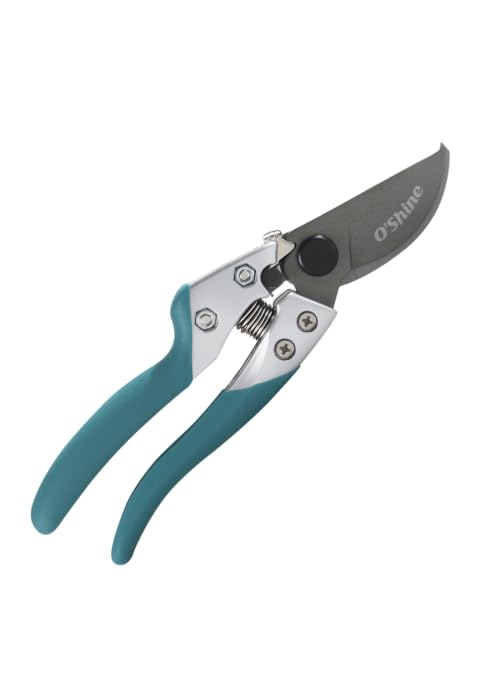 8“ professional bypass pruning shear