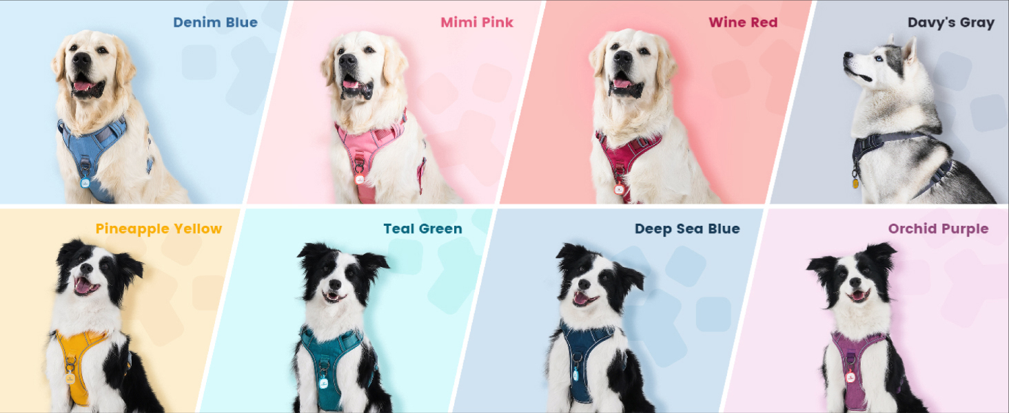 Pawaii Dog Harness
