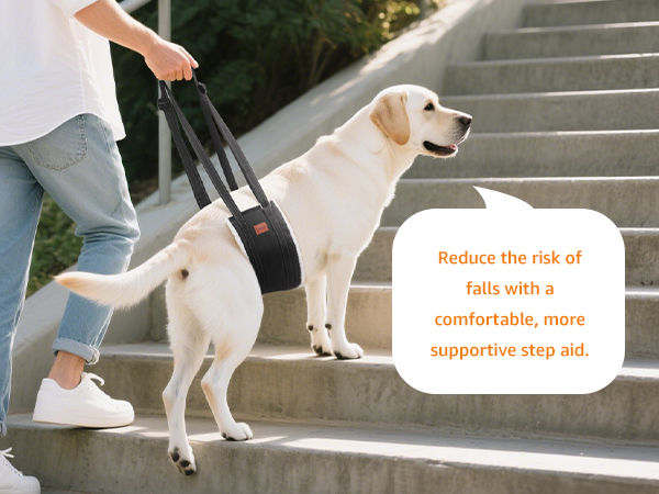 dog lifting harness