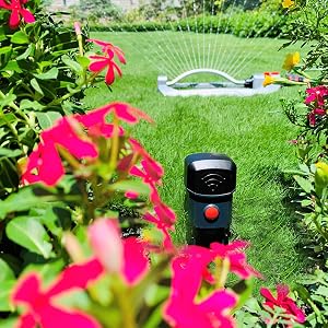Eden Soil Moisture Sensor